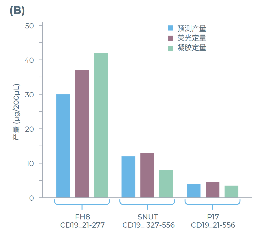 通过内部荧光测定和SDS-PAGE确定的蛋白产量与系统预测产量的对比