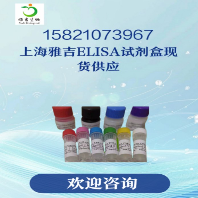 产品细节图片1