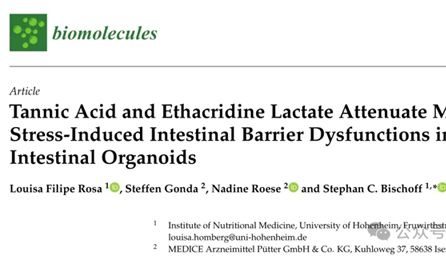 Biomolecules | 肠类器官揭示单宁酸和乳酸依沙吖啶可减轻肠道屏障功能障碍