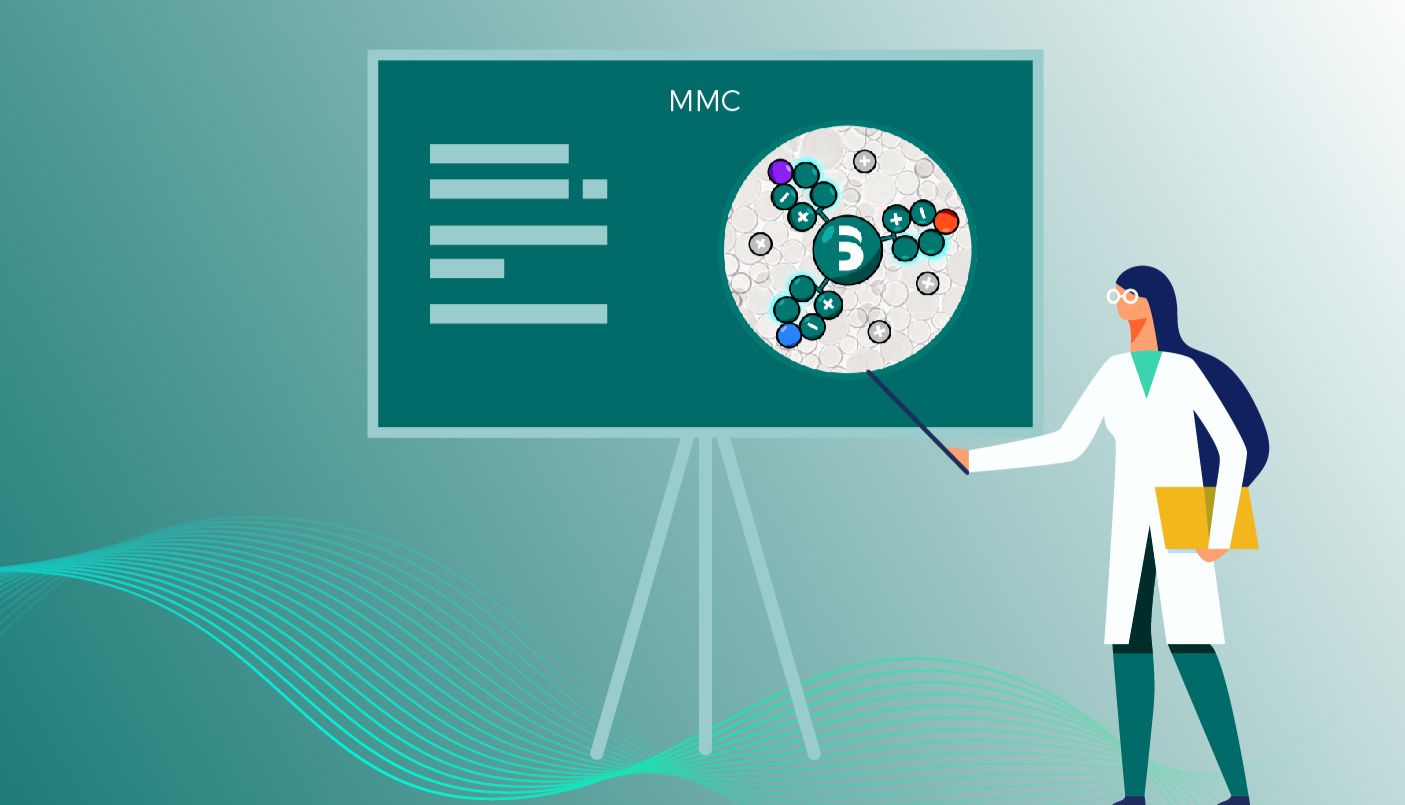 复合模式层析在双抗纯化中的多重策略