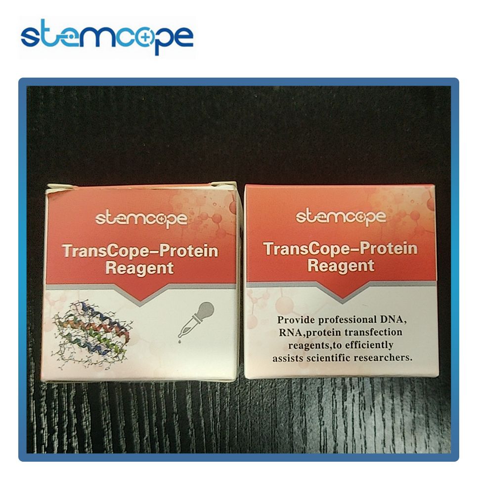 TCP-300 stemcope TransCope-Protein 蛋白质转染试剂 0.3mL
