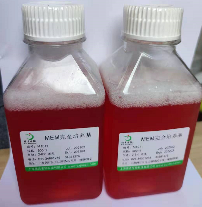 NCI-H2196人小细胞肺癌