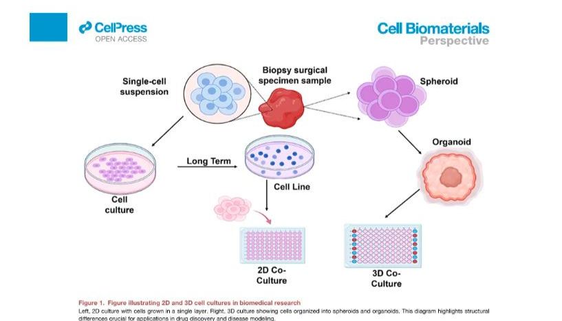 北京基尔比生物全自动3D细胞培养仪-暑期特惠