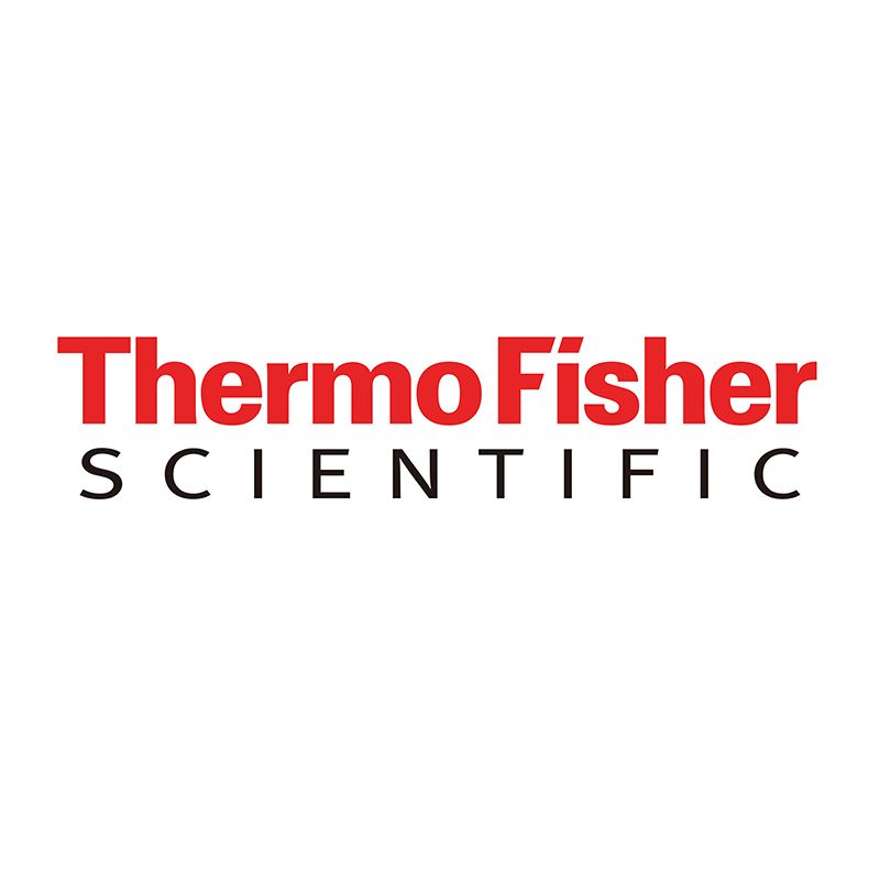 XCT/SLC7A11OLIGO711589 RPAB-711589-100 µg