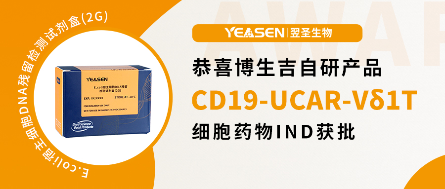 热烈祝贺！博生吉完全自主研发的全球通用现货型CD19-UCAR-Vδ1T细胞药物IND获批！