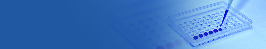 HCP检测ELISA试剂盒