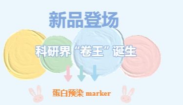 科研界 “卷王” 诞生！这款蛋白预染 marker 凭什么让实验室抢？