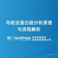鸟枪法蛋白组分析原理与流程解析