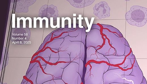 Immunity（IF=25.5）| iPSC与单细胞转录组双剑合璧，共同揭示RIPK1信号在ALS发病机制中的作用