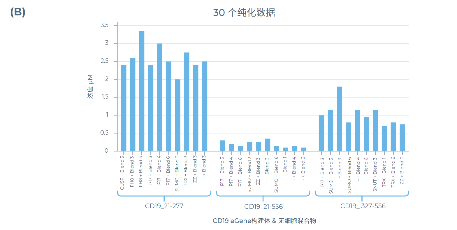 筛选结果:每种CD19长度变体表达量至高的 10 种组合经纯化后确定纯化浓度