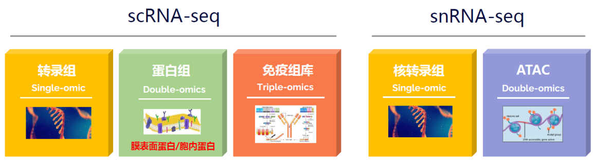 技术资料图片12