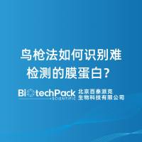 鸟枪法如何识别难检测的膜蛋白?
