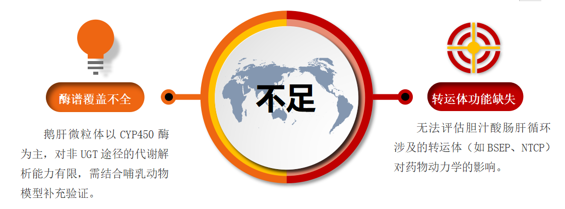 鹅肝微粒体 4.png