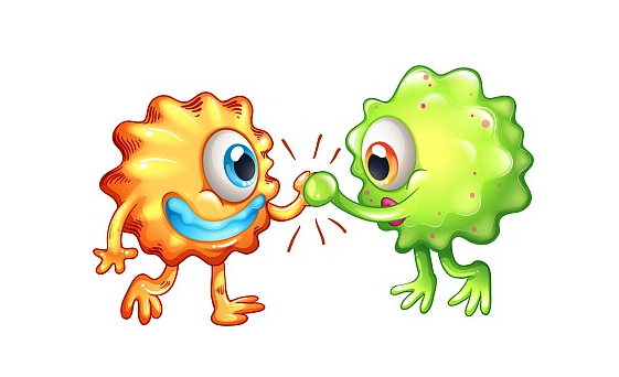 免疫细胞与支原体共培养如何识别