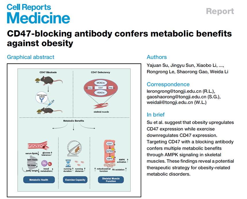 期刊、标题、作者信息及摘要图