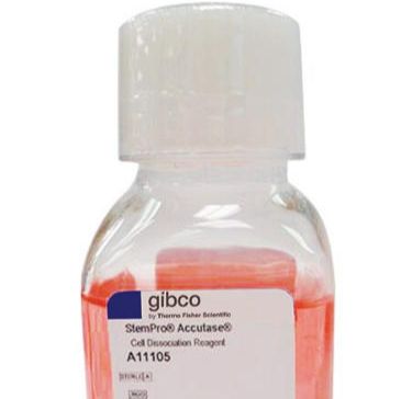 StemPro™ Accutase™ 细胞解离试剂