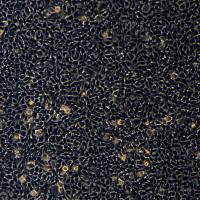 胚肾细胞 HEK293A