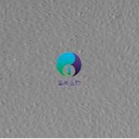 大鼠表皮角化细胞