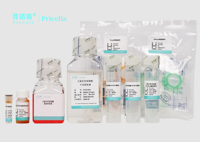 大鼠肝星状细胞分离培养试剂盒组分说明