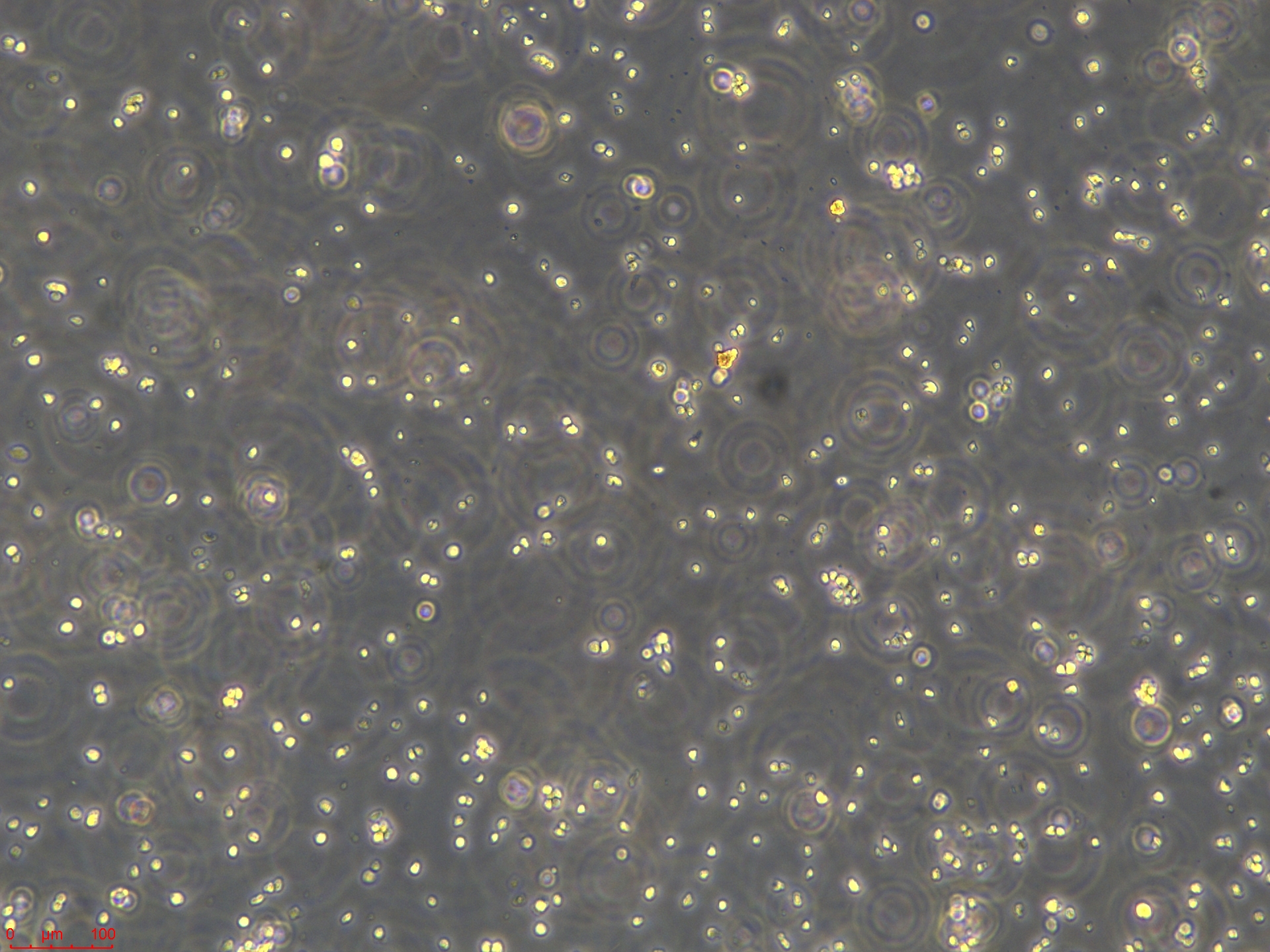 Project_LMH_ch00 (2).jpg