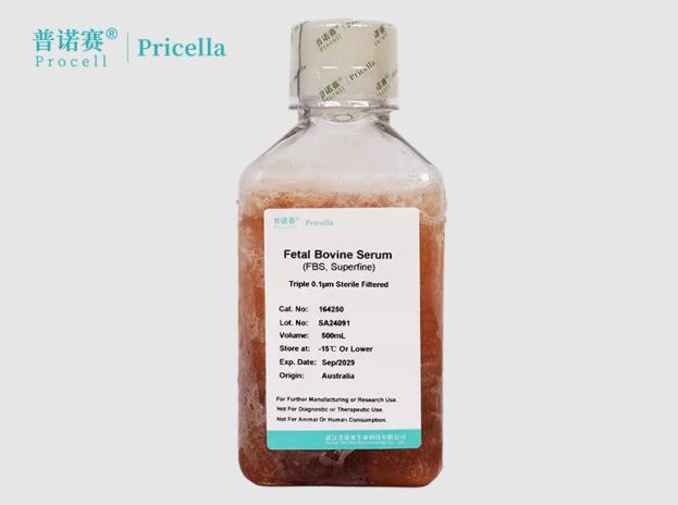 特级胎牛血清（澳洲）常见问题解答