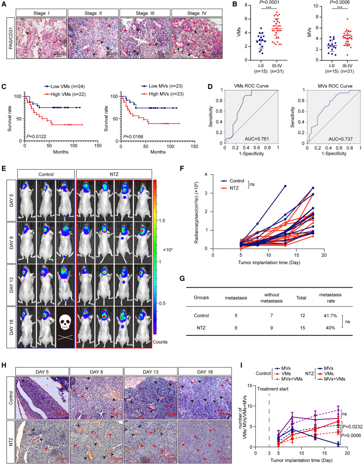 外泌体技术服务