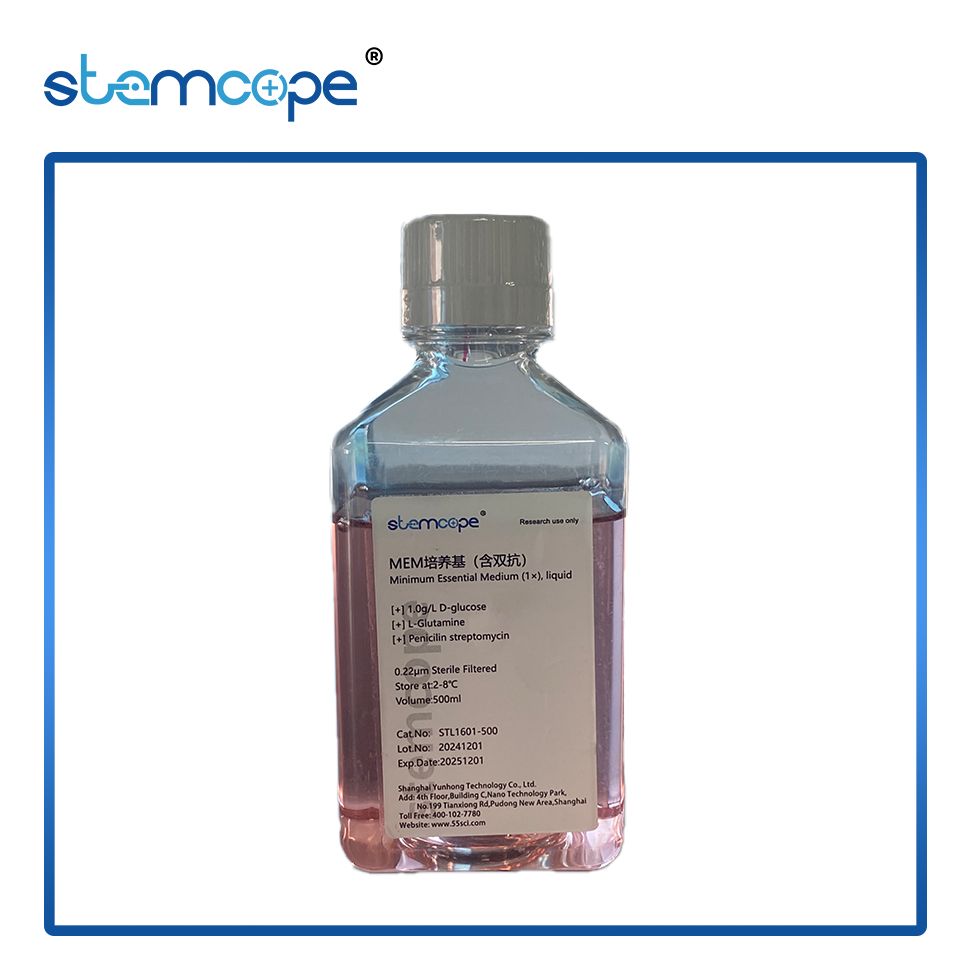 STL1601-500 stemcope MEM培养基（含双抗）500 ml