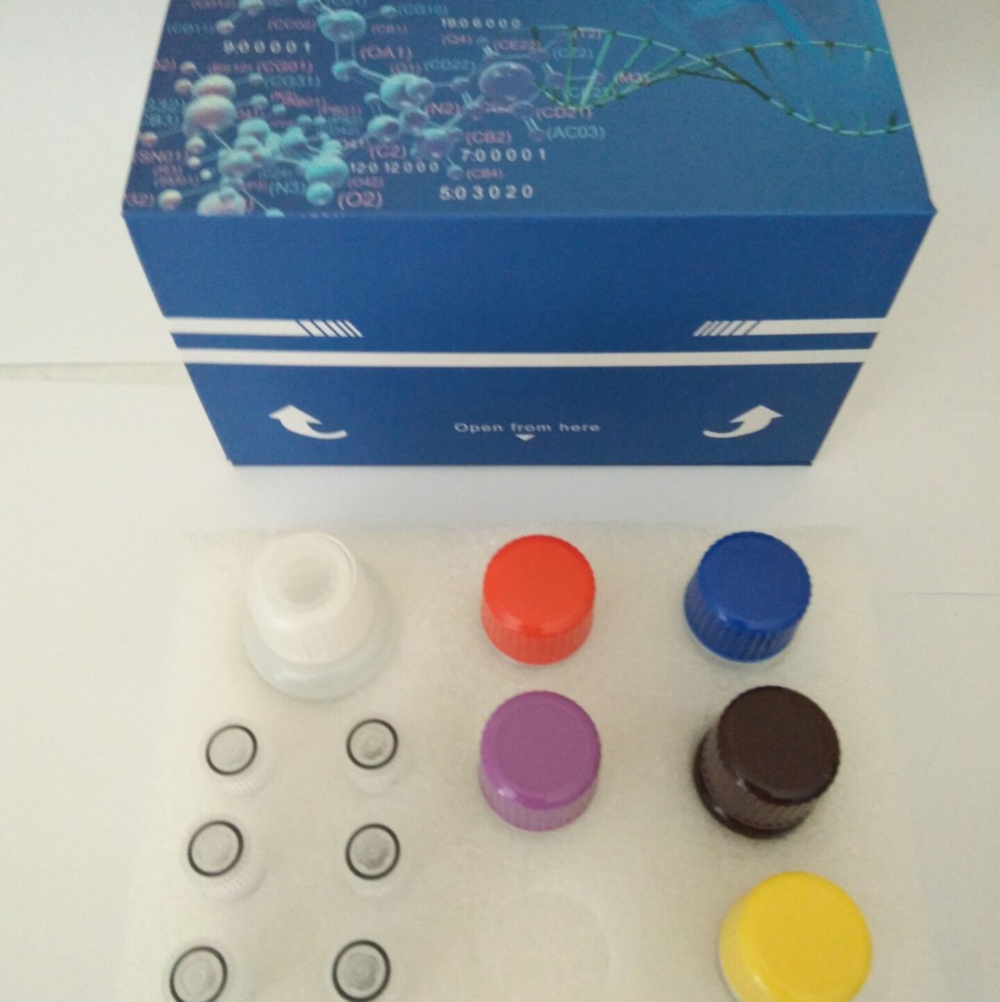 小鼠尿微量白蛋白(ALB)ELISA试剂盒