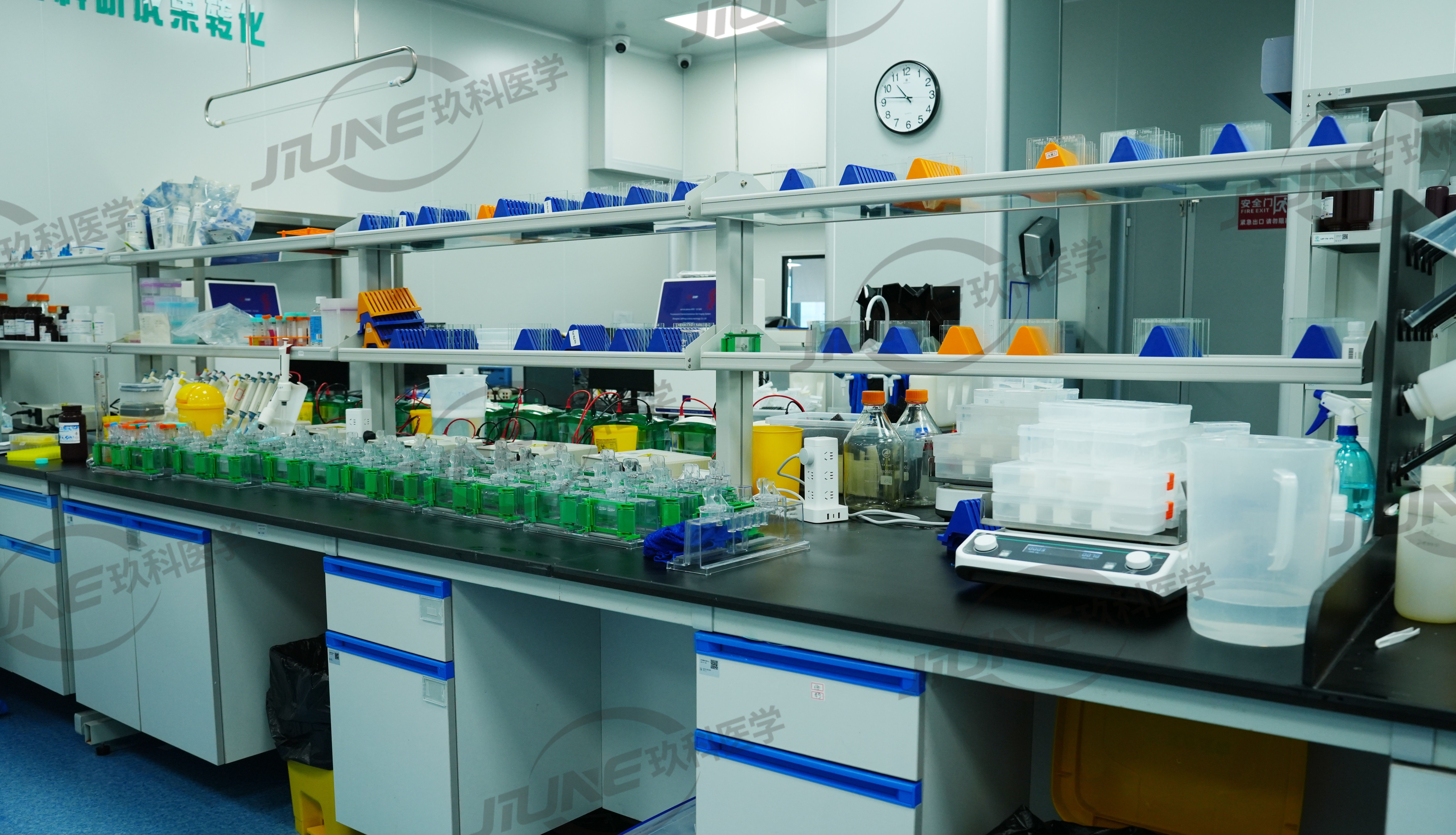 【7月生效】注意！玖科医学科研服务价格调整通知