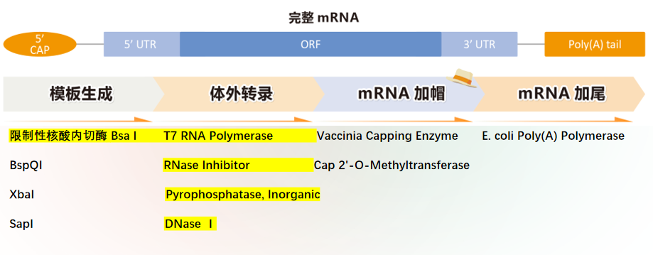 技术资料图片3