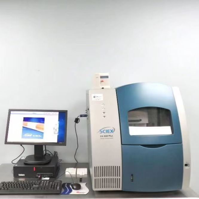 SCIEX PA800 二手