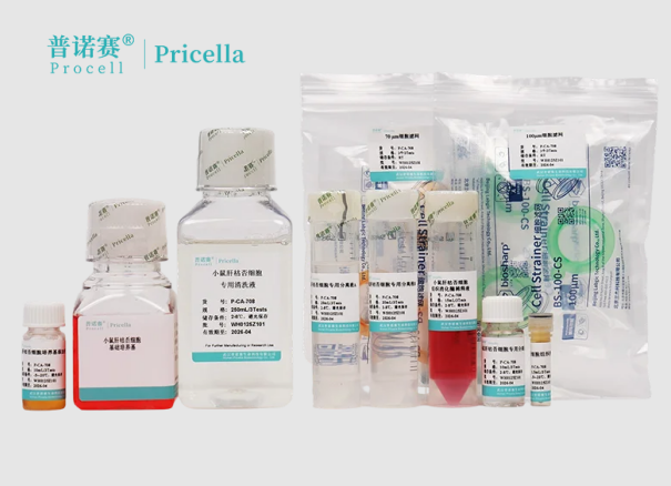 小鼠肝枯否细胞分离培养方案来了，细胞分离培养不再难~