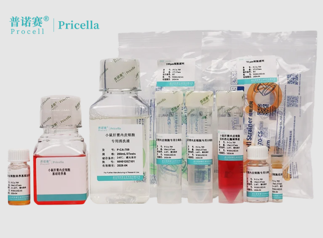 小鼠肝窦内皮细胞分离培养试剂盒，低损伤高产出