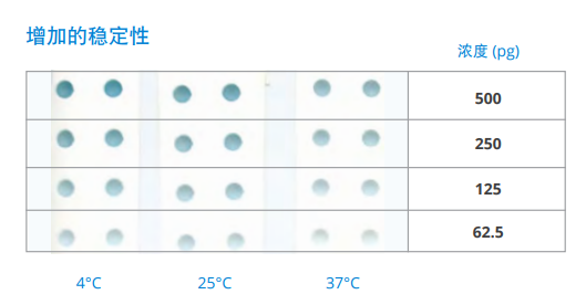 增加的稳定性.png