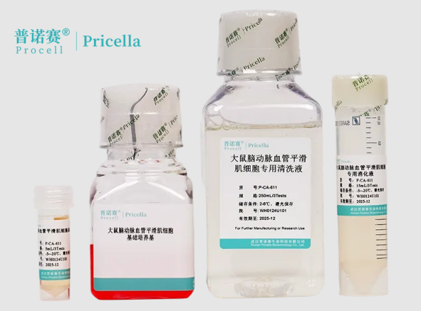 大鼠脑动脉血管平滑肌细胞分离培养试剂盒：高效稳定，新手也能轻松上手
