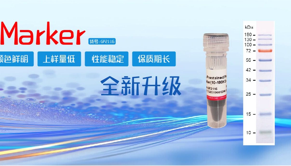 全新升级！三色预染蛋白分子量标准，科研实验的得力助手