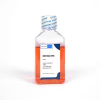  PreviousNext 123 人卵巢癌细胞完培 UWB1.289+BRCA1-CM