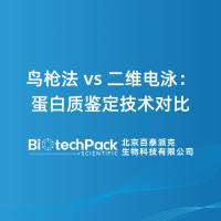鸟枪法 vs 二维电泳：蛋白质鉴定技术对比