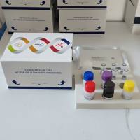 猪肿瘤坏死因子α(TNF-α)ELISA试剂盒