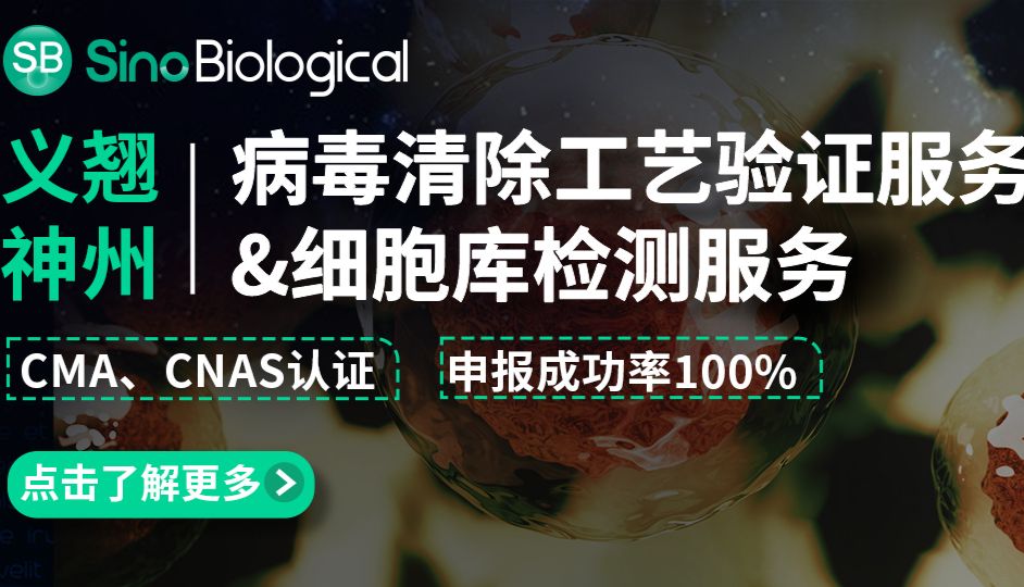 聚焦病毒因子检查：2025年版中国药典《生物制品生产用动物细胞基质制备及质量控制》变化及解读（二）
