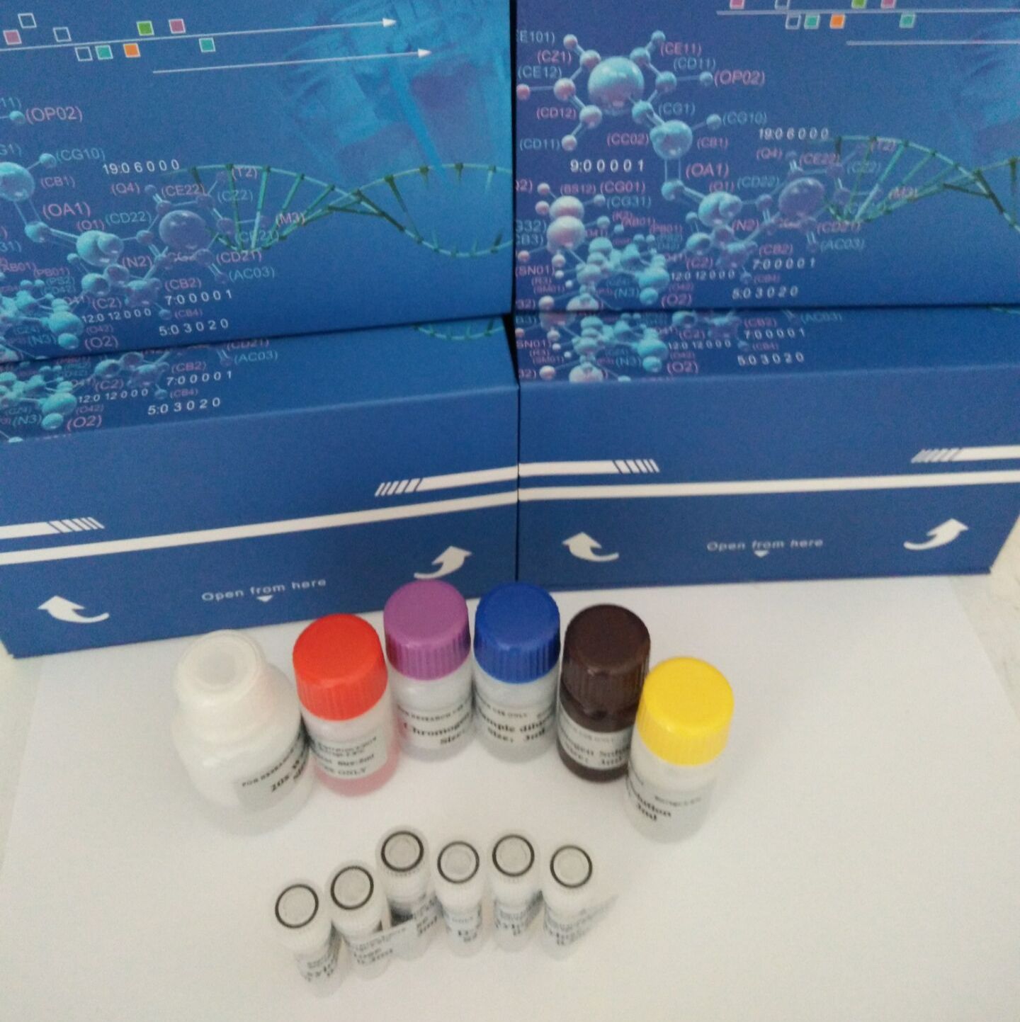 人血管内皮细胞粘附分子1(VCAM-1/CD106)ELISA试剂盒