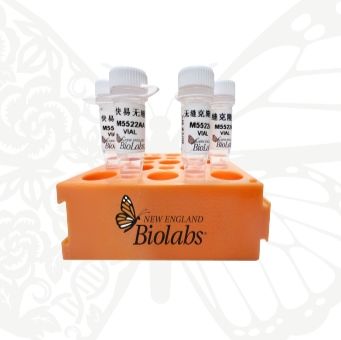 NEB 快易无缝克隆预混液