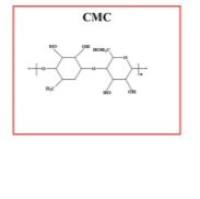 负载天麻素和冰 片的羧甲基纤维素纳米颗粒 Gastrodin/Borneol@CMC NPs