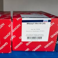Qiagen 74104  RNeasy Mini Kit (50)