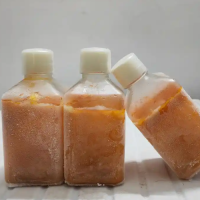 SPF级C57小鼠血浆（雌/雄定制）