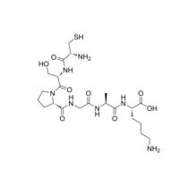 mUNO多肽(CSPGAK)  2283322-63-2  Cys-Ser-Pro-Gly-Ala-Lys   肿瘤归巢肽