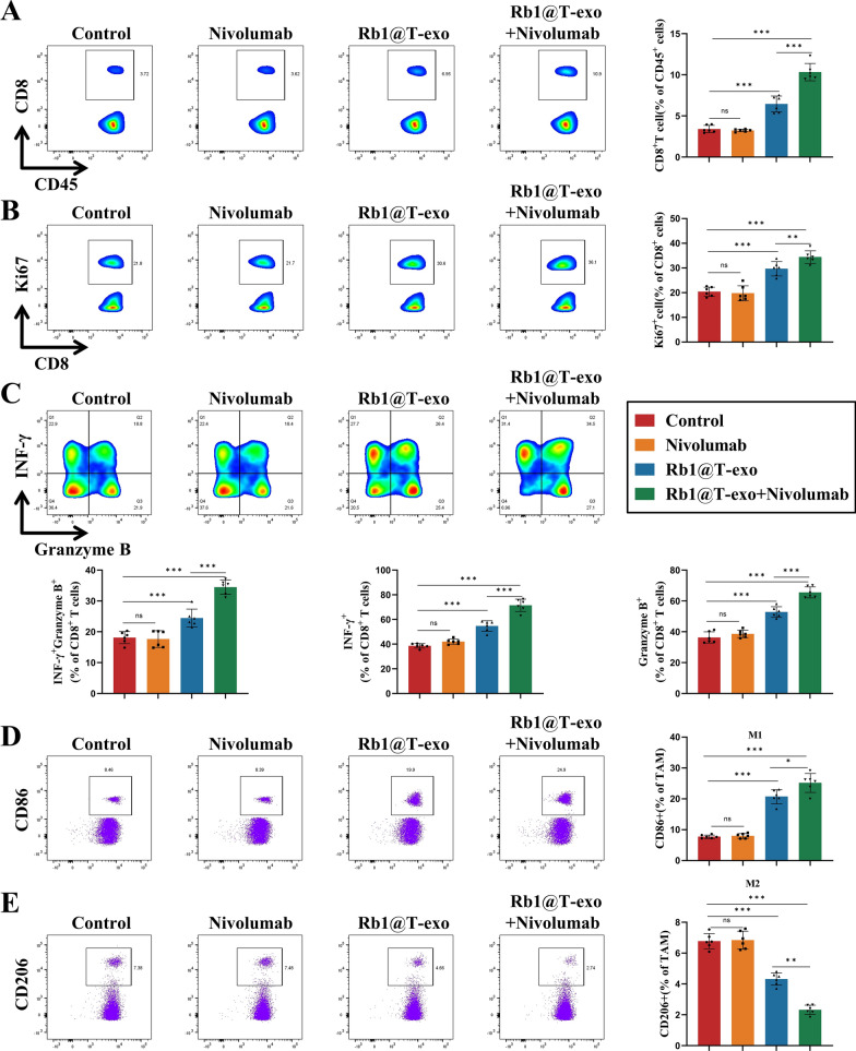 流式细胞术分析