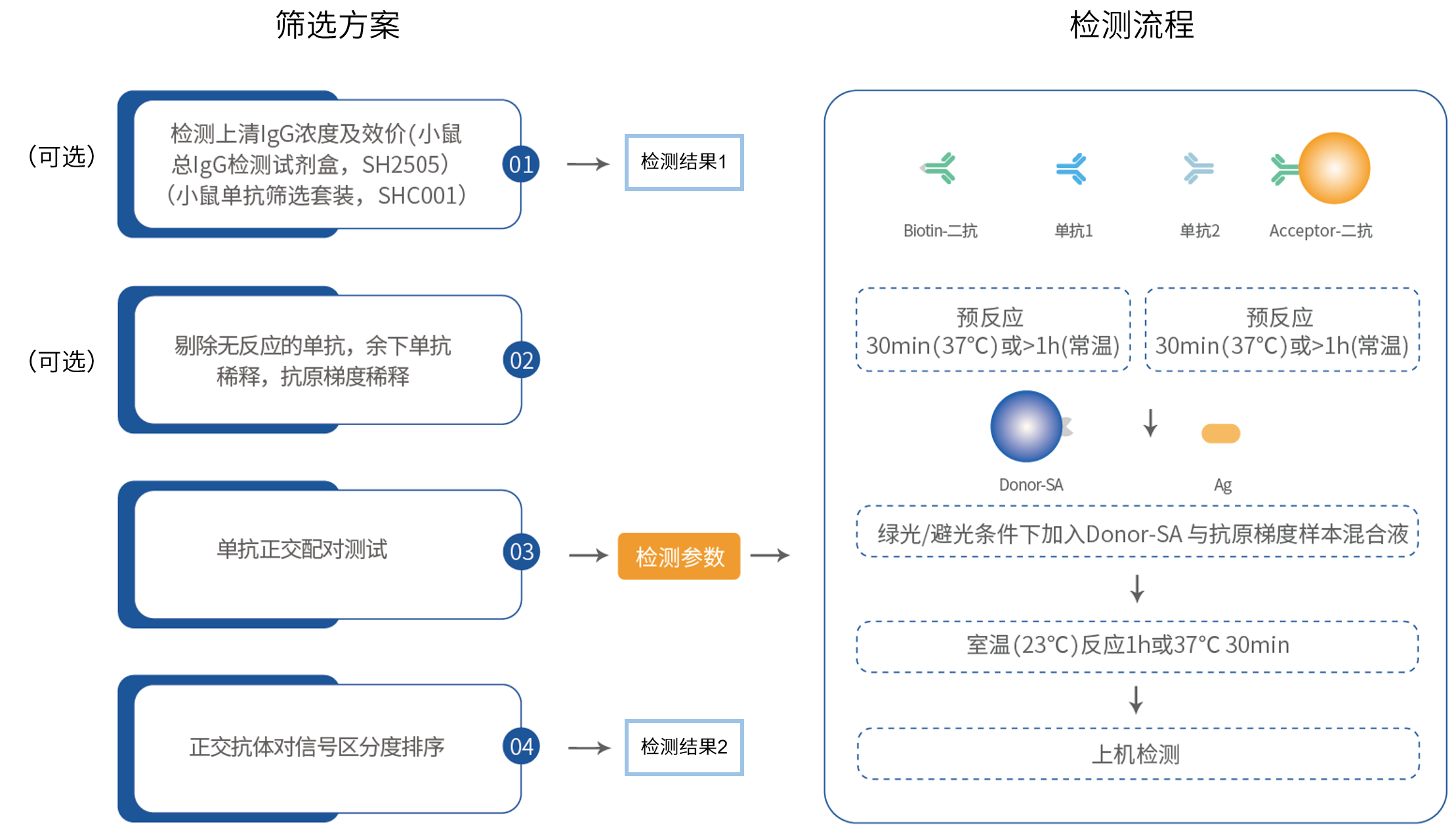 告别繁琐，迎接高效丨配对抗体筛选方法的简化新方案