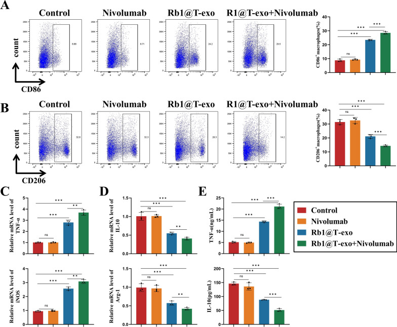 流式细胞术分析 流式细胞术分析