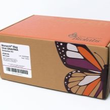 Monarch® 磁珠法病毒 DNA/RNA 提取试剂盒